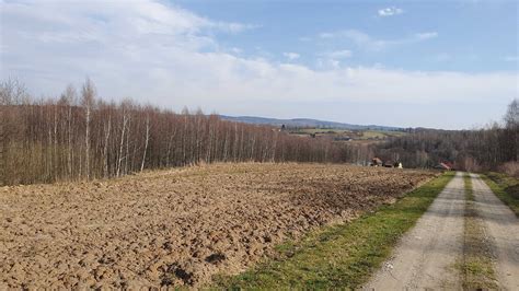 Wysoka Strzyżowska pogoda dziś